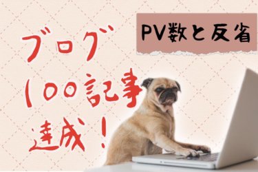 ブログを１００記事書いた現在のPV数と５つの反省